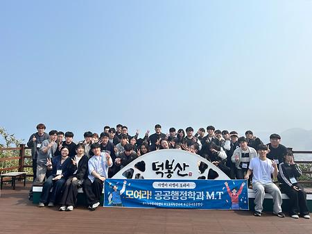 단체